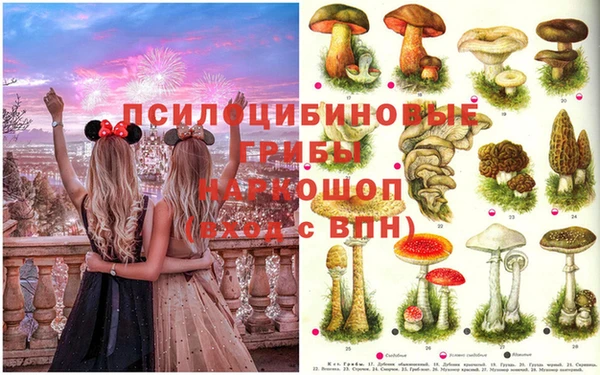 мдма Абдулино