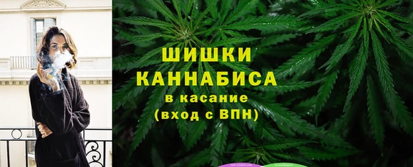 амф Алексин