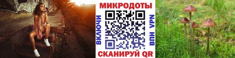 Галлюциногенные грибы мухоморы  Донской 
